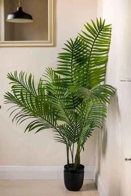 佛罗伦萨Modern Loft 1 Min To Basilica Of Santa Croce公寓 佛罗伦萨